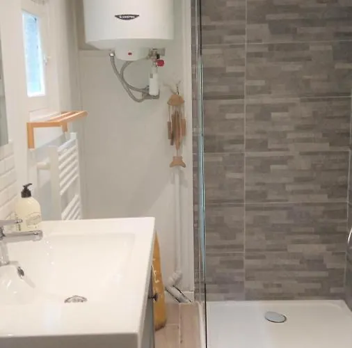 T2 D En Coeur De Dans Maison Avec Jardin Ideal Couple De Curistes